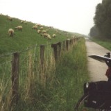 0209F 23 Am Emsdamm entlang